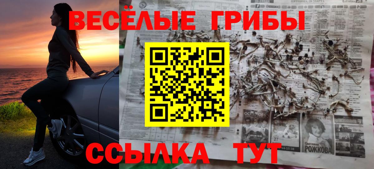 Псилоцибиновые грибы ЛСД Дубна