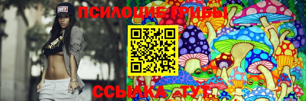Псилоцибиновые грибы Cubensis  Галлюциногенные грибы ЛСД  Дубна  Вход с VPN 