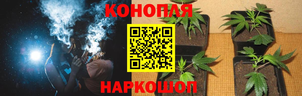 Дубна  Каннабис SATIVA & INDICA  Вход с VPN  Канабис THC 21% 